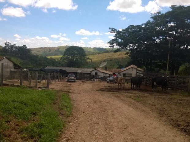 Fazenda em Santo Antonio do Monte (Foto: Reginaldo Jesus/TV Integração)
