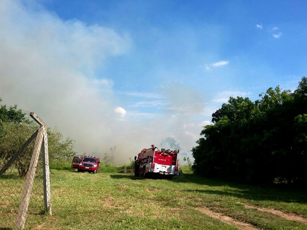 Corpo de Bombeiros foi acionado por volta das 13h30 desta sexta-feira (24) (Foto: Stephanie Fonseca/G1)