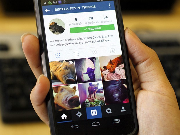 Kevin Bacon e Bisteca dividem perfil no Instagram (Foto: Fabio Rodrigues/G1)