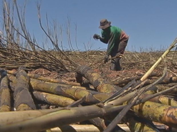Hoje só 15% dos brasileiros vivem na zona rural e muitos saíram em busca de melhores condições (Foto: reprodução/TV Tem) Hoje só 15% dos brasileiros vivem na zona rural e muitos saíram em busca de melhores condições (Foto: reprodução/TV Tem)
