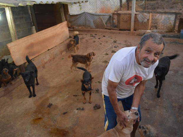 Antonio de Barros não pode entrar em um canil, em Mogi das Cruzes, que todos os cachorros querem brincar (Foto: Jamile Santana/ G1)