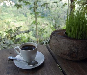 Café (Foto: EFE)