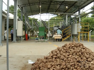 A capacidade total da usina é de três mil litros de etanol por dia (Foto: Reprodução/TV Anhanguera)