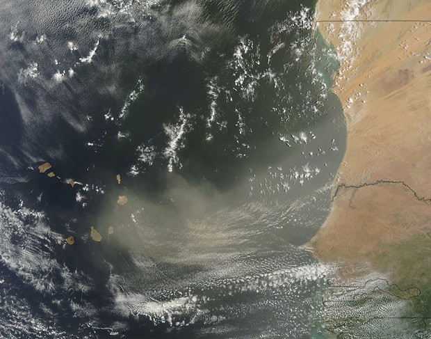  Imagem de satélite mostra uma tempestade de areia no oeste da África. Desde o fim de julho, meteorologistas têm especulado que uma corrente de ar seco e com areia está inibindo a formação de furacões no Atlântico Norte.  (Foto: Reuters/Nasa  )