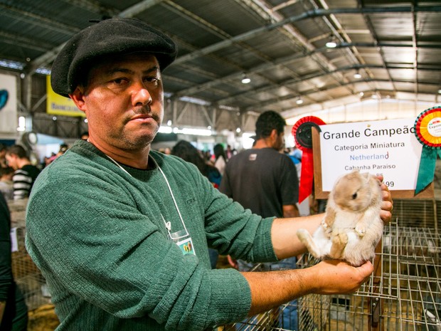 Menor coelho do mundo é exposto pela primeira vez em feira do RS (Foto: Luis Francisco Silva/Expointer)