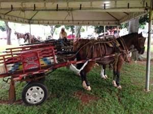 Carroça (Foto: Agência Brasília/Divulgação)