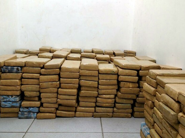 Maconha, apreensão, 400 kg, São Gonçalo do Sapucaí, PRF (Foto: Thiago Luz/ EPTV) Maconha, apreensão, 400 kg, São Gonçalo do Sapucaí, PRF (Foto: Thiago Luz/ EPTV)