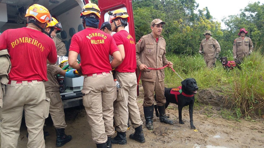 Cão Lost conseguiu localizar a idosa que estava perdida, em Santa Rita (Foto: Capitão Edson Ferraz/Corpo de Bombeiros)
