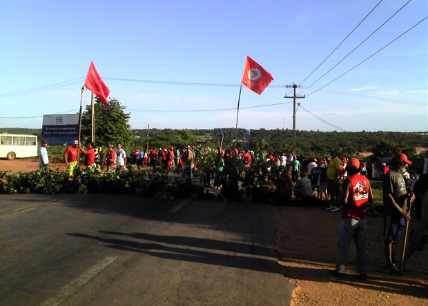 Manifestantes do MST bloquearam a passagem de veículos na BR-406 com galhos (Foto: Anderson Luiz Simões dos Santos)