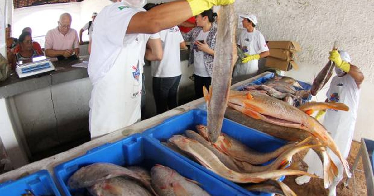 Paragominas recebe Feira do Pescado neste final de semana - Globo.com