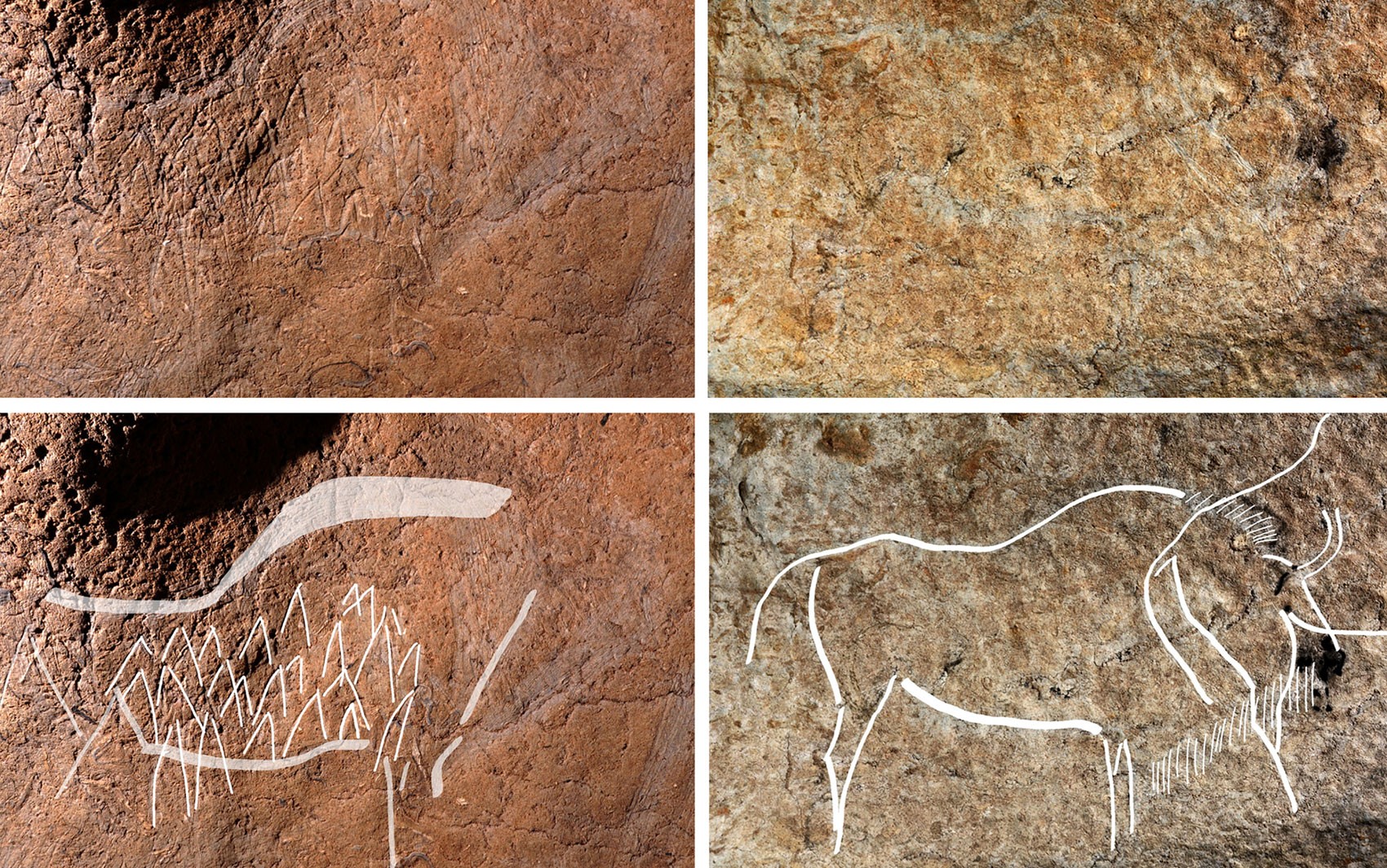 Foto não datada mostra pinturas encontradas na caverna Atxurra, na Espanha, e que teriam mais de 12 mil anos (Foto: HO/AFP)