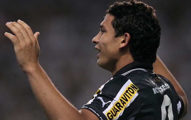 Elkeson botafogo gol bahia (Foto: Satiro Sodré / Agif)