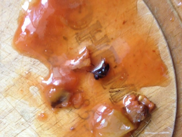 Inseto estava dentro do sachê de molho de tomate, segundo a jornalista (Foto: Caroline Hasselmann / Arquivo pessoal)