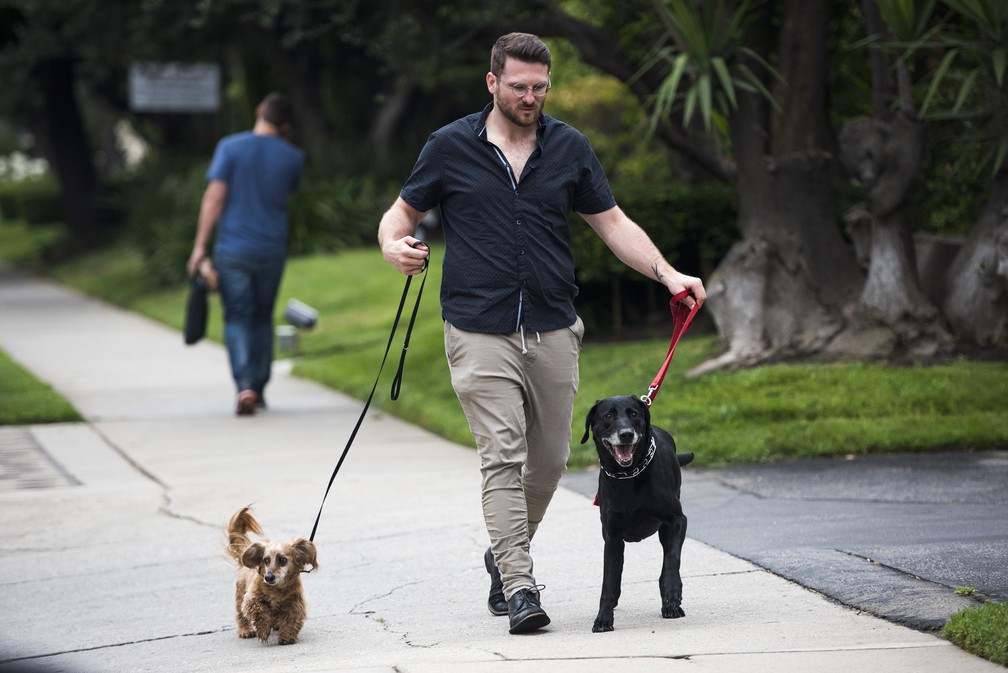Brett Hartman caminha com seus cachorros Brutus e Cayley (Foto: Robyn Beck / AFP)