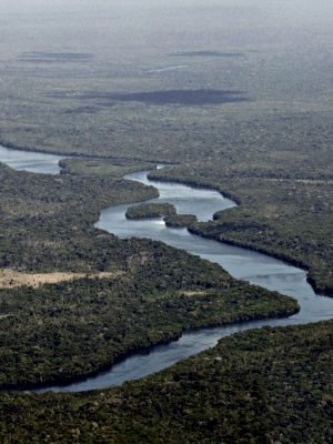 Área onde está terra Menkü em Mato Grosso (Foto: Leandro J.Nascimento/G1)