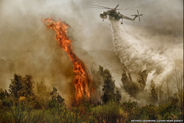 Bombeiros enfrentam chamas gigantes em florestas da Itália (Foto: Antonio Grambone/Caters)