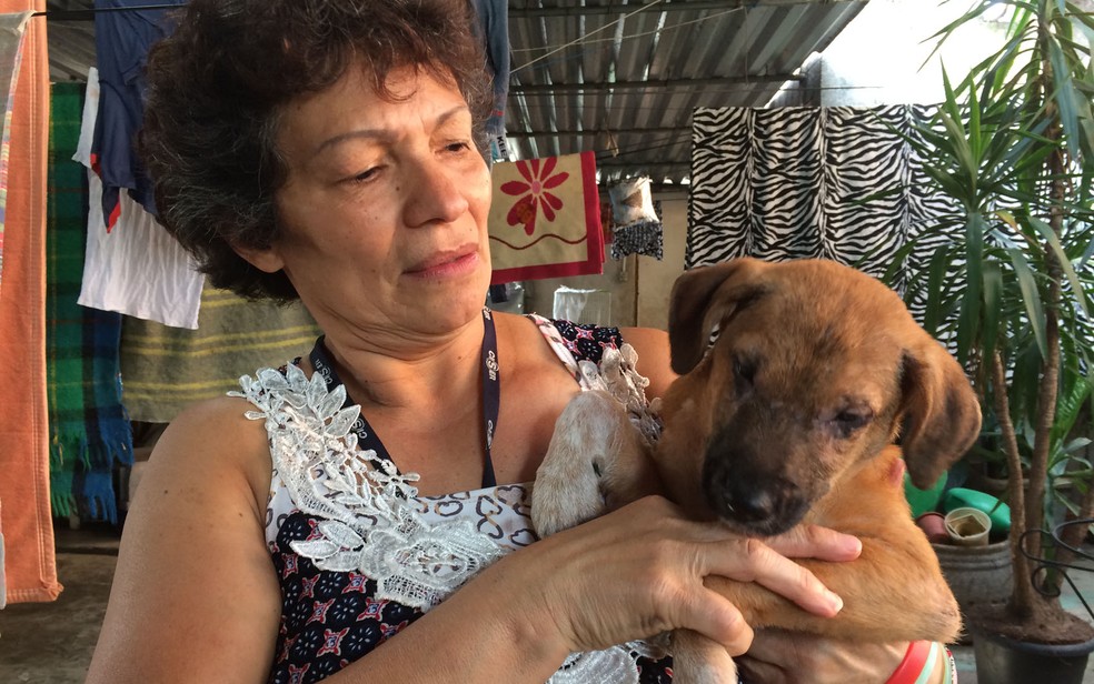 Dona Gra&ccedil;a e o c&atilde;ozinho Willy (Foto: Paulo Toledo Piza/G1)