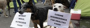 Cães 'protestam' em NY por comida melhor (Shannon Stapleton/Reuters)
