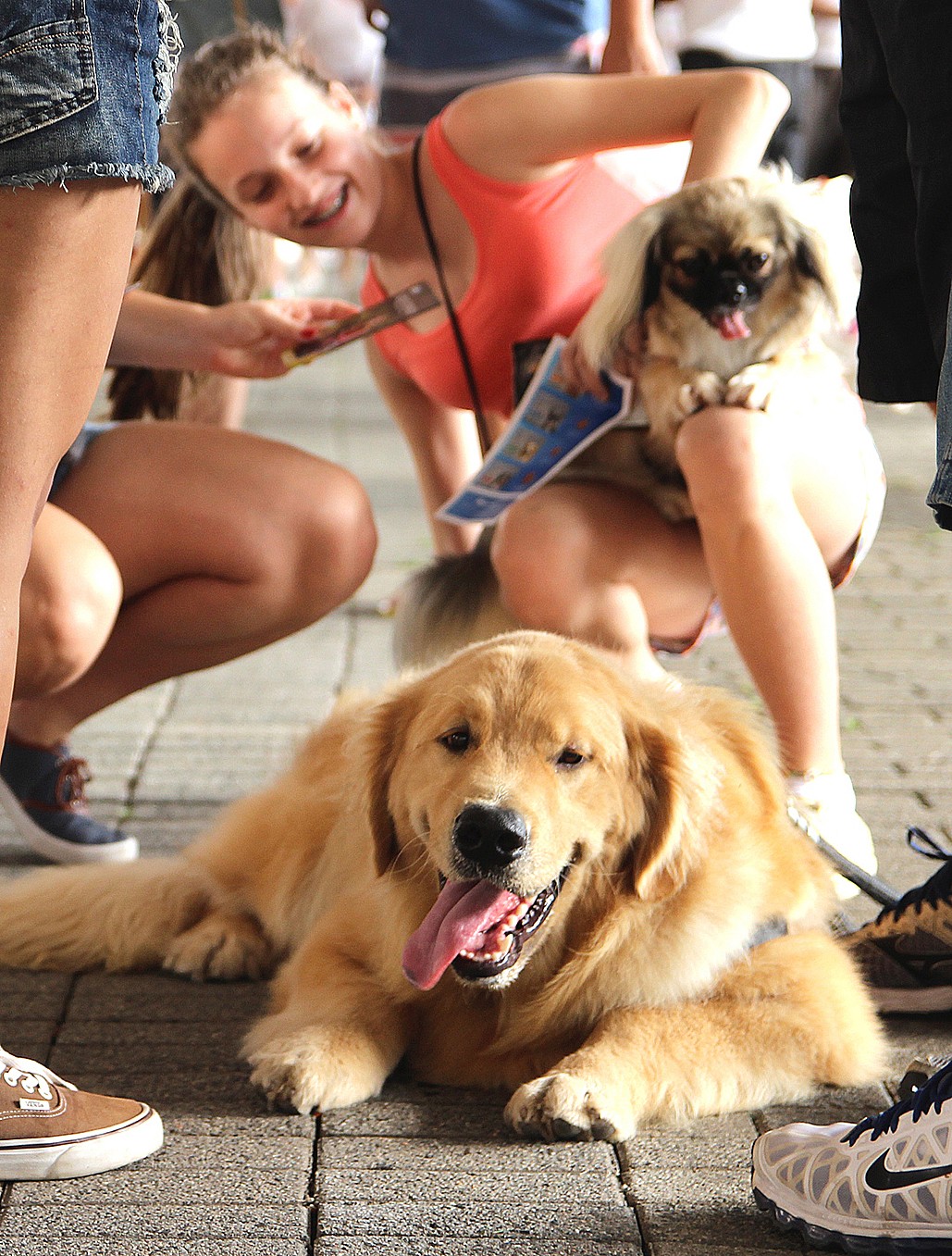 Quase três mil cães participaram do evento  (Foto: RBS TV/Divulgação)