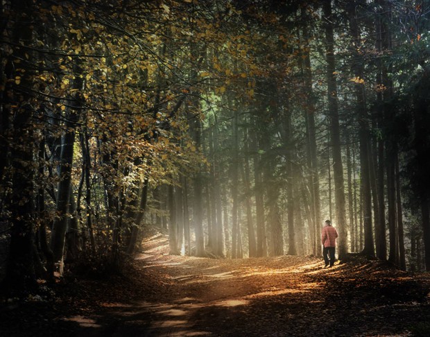 Respeito todos os maratonistas e os que correm por prazer, mas há muita corrida sem sentido em nossa vida (Foto: Silena Lambertini)