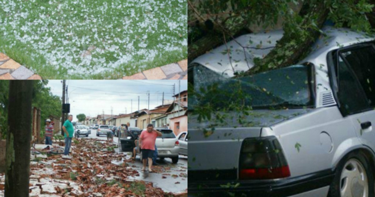 Temporal derruba árvores e causa estragos em Carmo do Paranaíba - Globo.com