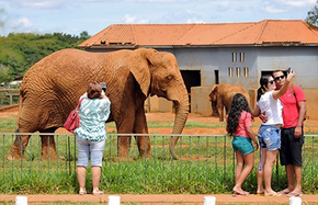 Público do Zoo de Brasília cai 30% após cobrança de entrada a R$ 10 |  Distrito Federal | G1