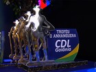 CDL premia empresas e profissionais que se destacaram em 2016 em Goiás