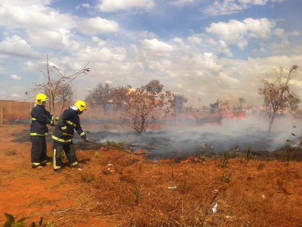 Bombeiros apagam fogo colocado por moradores do Estância Quintas da Alvorada em vegetação seca durante protesto contra derrubada (Foto: Gabriella Julie/G1)