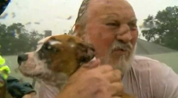 O homem e seus quatro cachorros foram salvos pelo telhado (Foto: BBC)