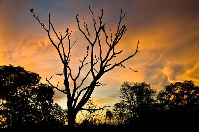Décimo Colocado_Diego Rego Monteiro_Alto Araguaia (Foto: Décimo Colocado_Diego Rego Monteiro_Alto Araguaia) Décimo Colocado_Diego Rego Monteiro_Alto Araguaia (Foto: Décimo Colocado_Diego Rego Monteiro_Alto Araguaia)