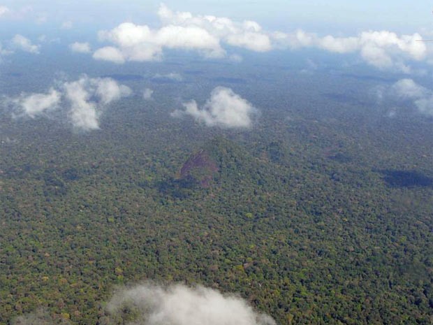 Estado do Amapá tem 76,6% de seu território coberto pela floresta amazônica. Na imagem, o Parque Nacional Montanhas de Tumucumaque. (Foto: Divulgação/Grayton Toledo/Governo do Amapá)