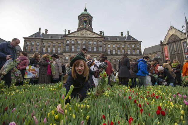 Mulher pega tulipas durante evento para marcar início da temporada da flor (Foto: Cris Toala Olivares/Reuters)