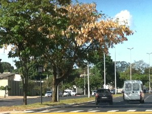 Segundo secretário há 72 linhas de radares em Uberlândia (Foto: Fernanda Resende/G1)