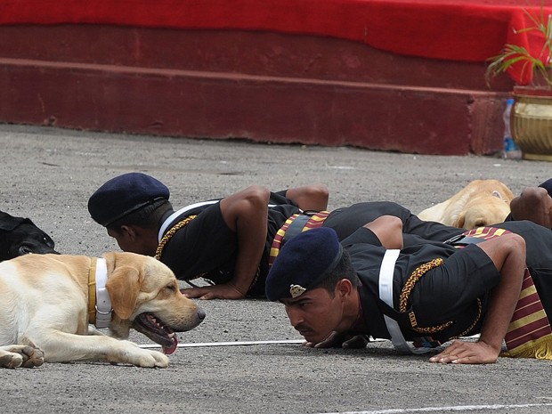 Exército indiano faz demonstração com cães treinados durante evento em Secunderabad, na Índia (Foto: AFP)