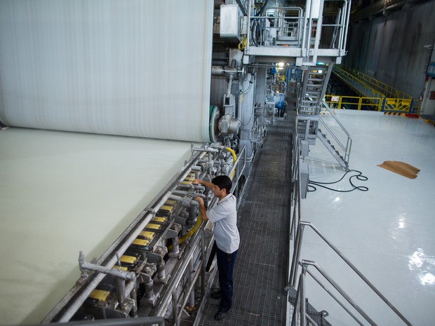 Fibria indústria celulose Jacareí (Foto: Victor Moriyama) Fibria indústria celulose Jacareí (Foto: Victor Moriyama)