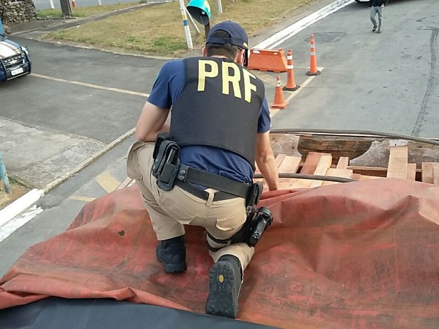 Ao todo, foram apreendidas cerca de 46,8 toneladas de madeira em Poços de Caldas (MG) (Foto: Polícia Rodoviária Federal) Ao todo, foram apreendidas cerca de 46,8 toneladas de madeira em Poços de Caldas (MG) (Foto: Polícia Rodoviária Federal)