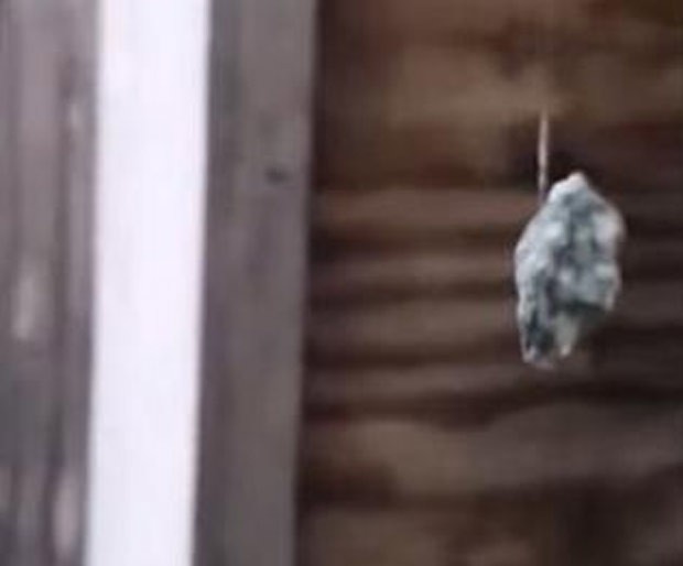 Aranha içou pedra com teia no Maine (Foto: Reprodução/YouTube/Nicholas Steenberg)