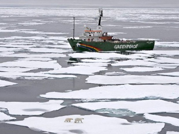 Estudos recentes afirmam que espécies que vivem no Ártico, como o urso polar, focas e crustáceos, precisam se adaptar ao constante degelo ou podem desaparecer para sempre devido ao aumento da temperatura do planeta. (Foto: Danile Beltra/Greenpeace/AFP)
