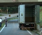 Grupo rouba carga de R$ 1 milhão em  SP (Reprodução / TV Tem)
