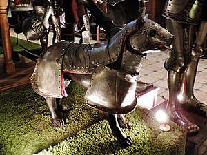 Uma das partes mais marcantes do museu de armas é o cão com armadura (Foto: Débora Soares/G1)