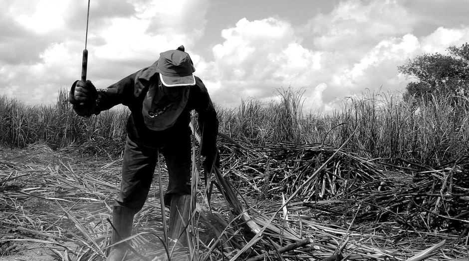 O surgimento da agricultura e do Estado