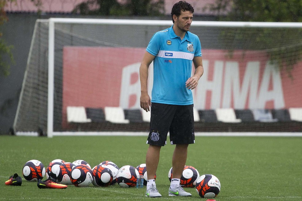 Elano assume interinamente o cargo de técnico (Foto: Ivan Storti/Divulgação Santos FC)