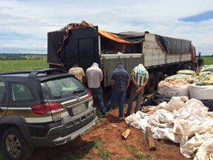 Apreensão de milho ocorreu às margens da BR-262, em Uberaba (Foto: Polícia Civil/ Divulgação)