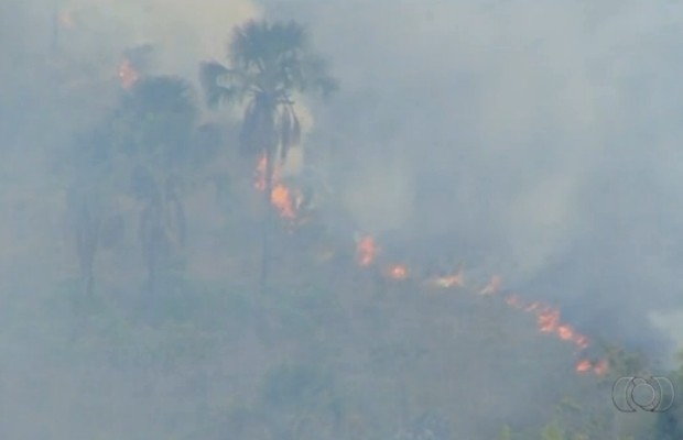 IncÃªndio atinge Parque dos Pireneus em PirenÃ³polis, GoiÃ¡s (Foto: ReproduÃ§Ã£o/TV Anhanguera)
