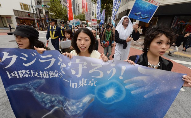 Manifestantes carregam faixas contra a caça de baleias em ruas do distrito de Shibuya, em Tóquio. (Foto: AFP Photo/Toru Yamanaka)