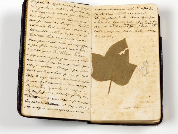 Caderneta de Dom Pedro II (Foto: Divulgação)