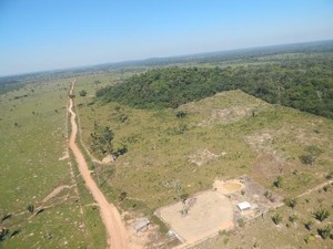Produtores poderão ainda pagar multas, que podem chegar a R$ 50 milhões por hectare (Foto: Perícia Técnica Científica/Divulgação) Produtores poderão ainda pagar multas, que podem chegar a R$ 50 milhões por hectare (Foto: Perícia Técnica Científica/Divulgação)