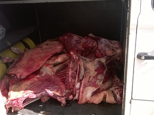 Carne de jumento apreendida em Passira (Foto: Divulgação/Polícia Civil)