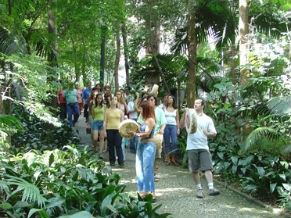 Passeio de conexão com a natureza no Parque Trianon (Foto: Divulgação / Parque Trianon)