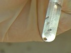 Vigilância de Sorocaba divulga números referentes ao Aedes aegypti